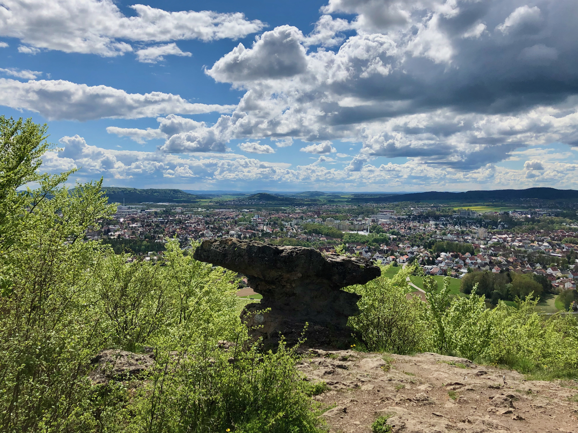 Blick über Neumarkt